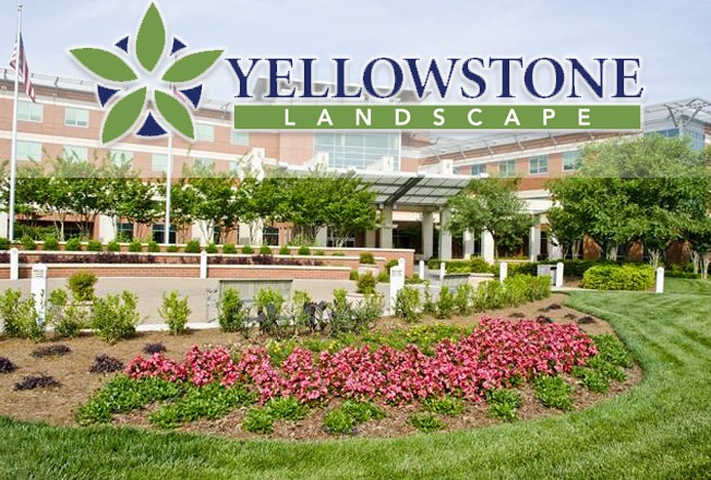 Vendor Spotlight Yellowstone Landscape, Yellowstone Landscaping Jacksonville Fl